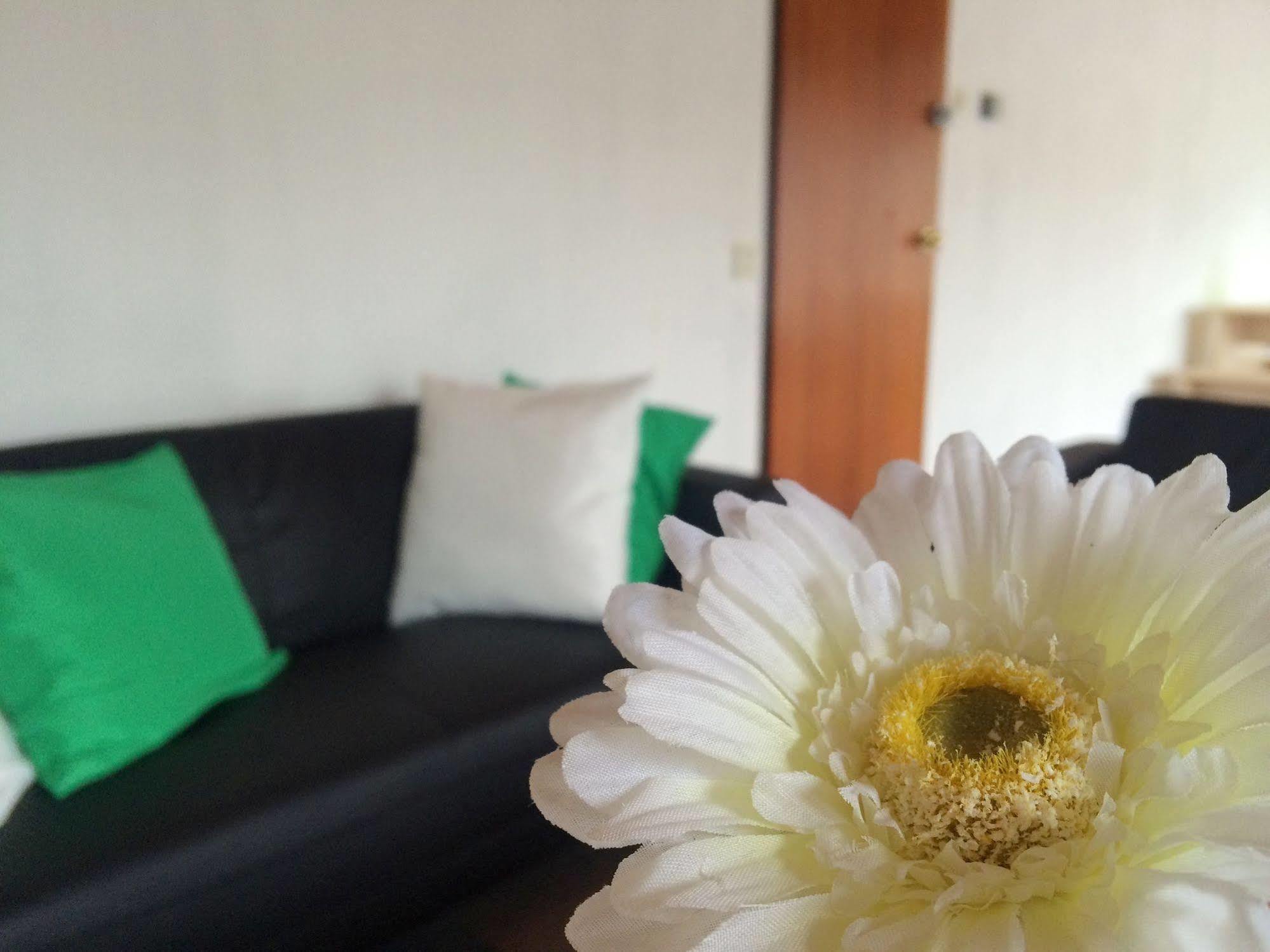 The Budget Hotel Hazerswoude-Rijndijk Εξωτερικό φωτογραφία